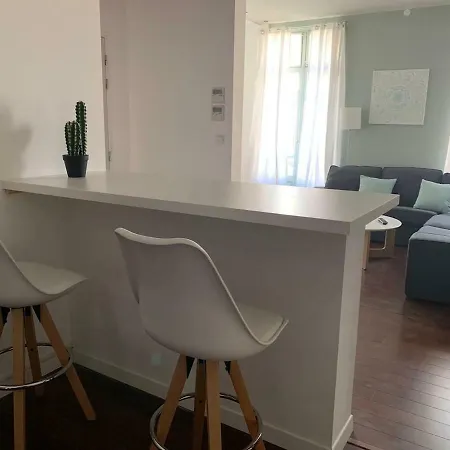 公寓 Beau T4 Hyper Centre Avec Parking