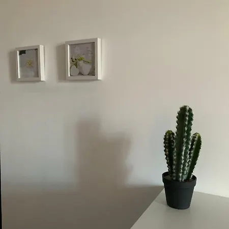 Beau T4 Hyper Centre Avec Parking Apartman Perpignan